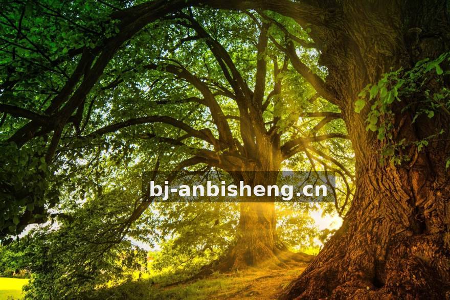 电竞比分 从BP到决胜团：一场典型翻盘局的复盘与观察方法